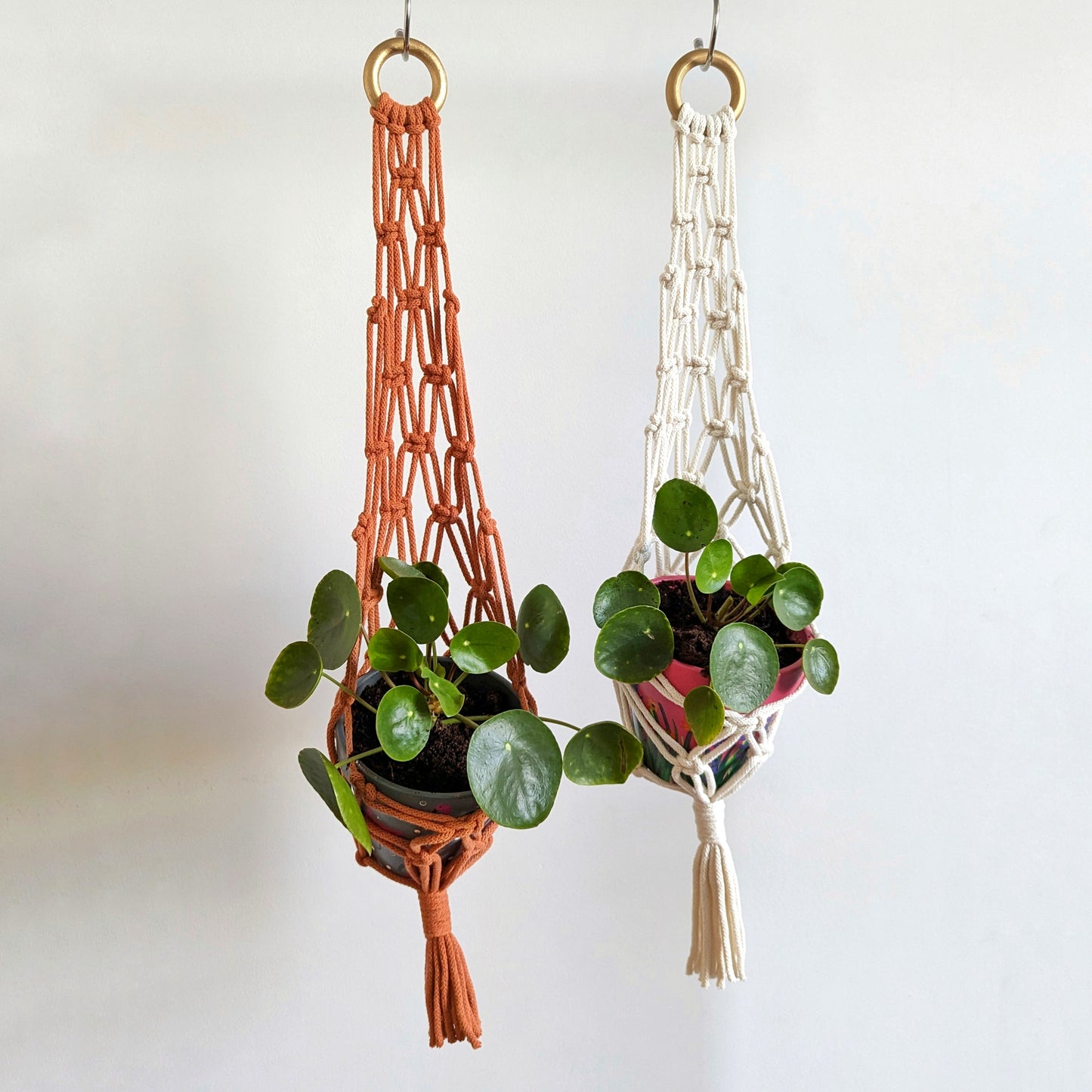 Macramé Plant Basket - 12 Colours