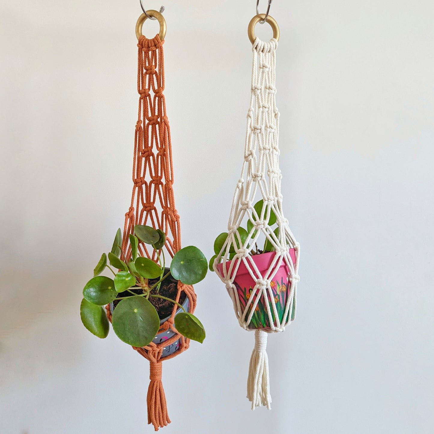 Macramé Plant Basket - 12 Colours