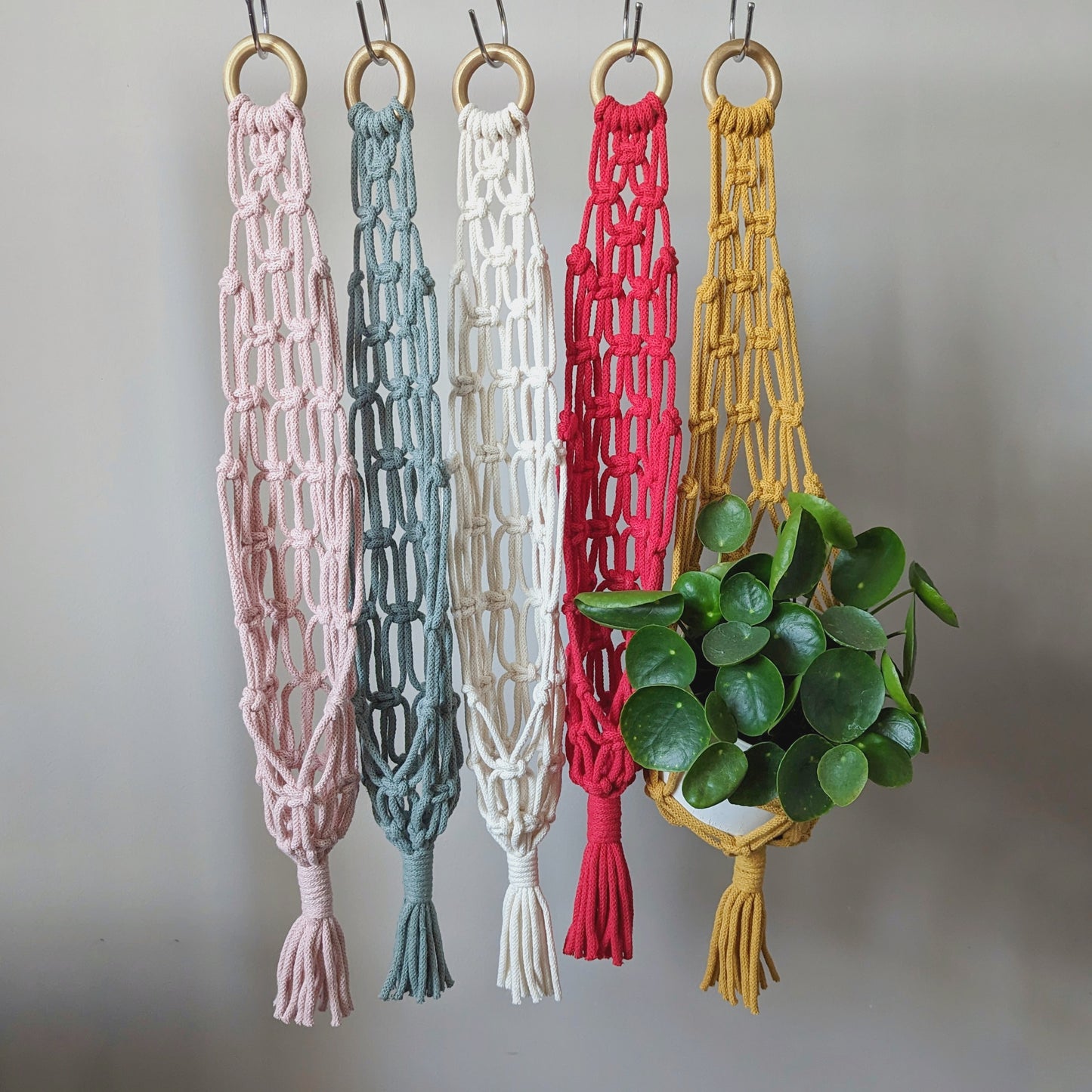 Macramé Plant Basket - 12 Colours