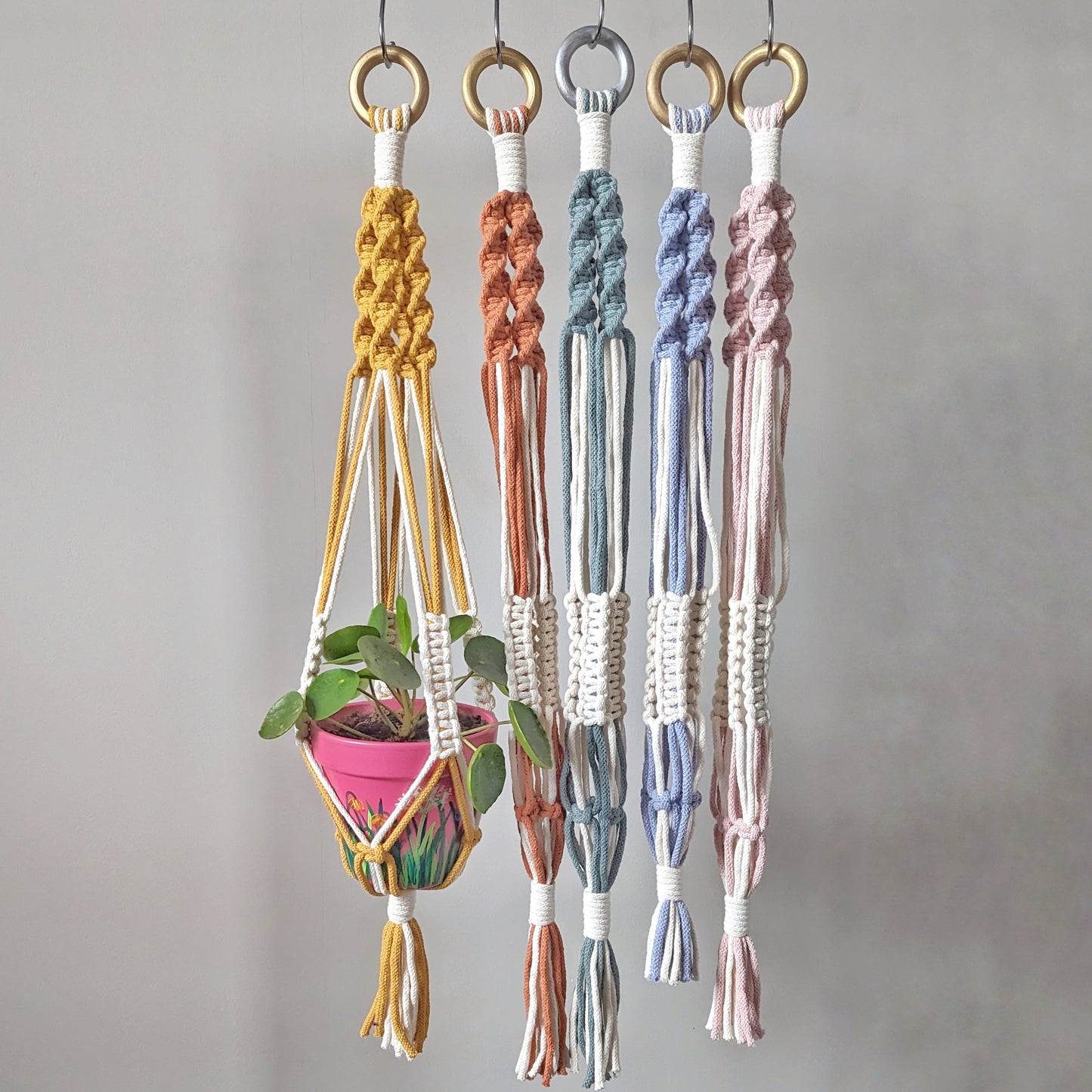Macramé Plant Hanger - Mix and Match 12 Colours