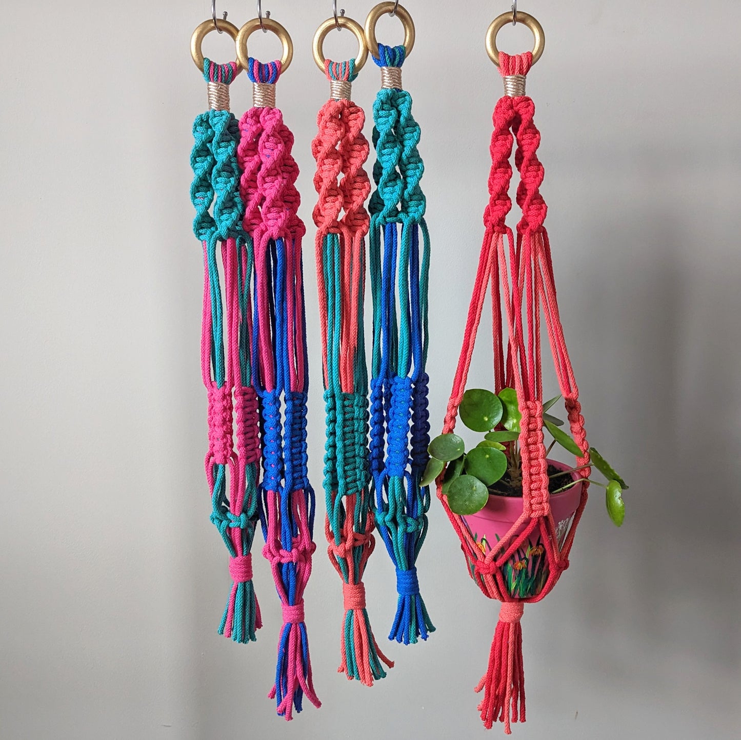 Macramé Plant Hanger - Mix and Match 12 Colours