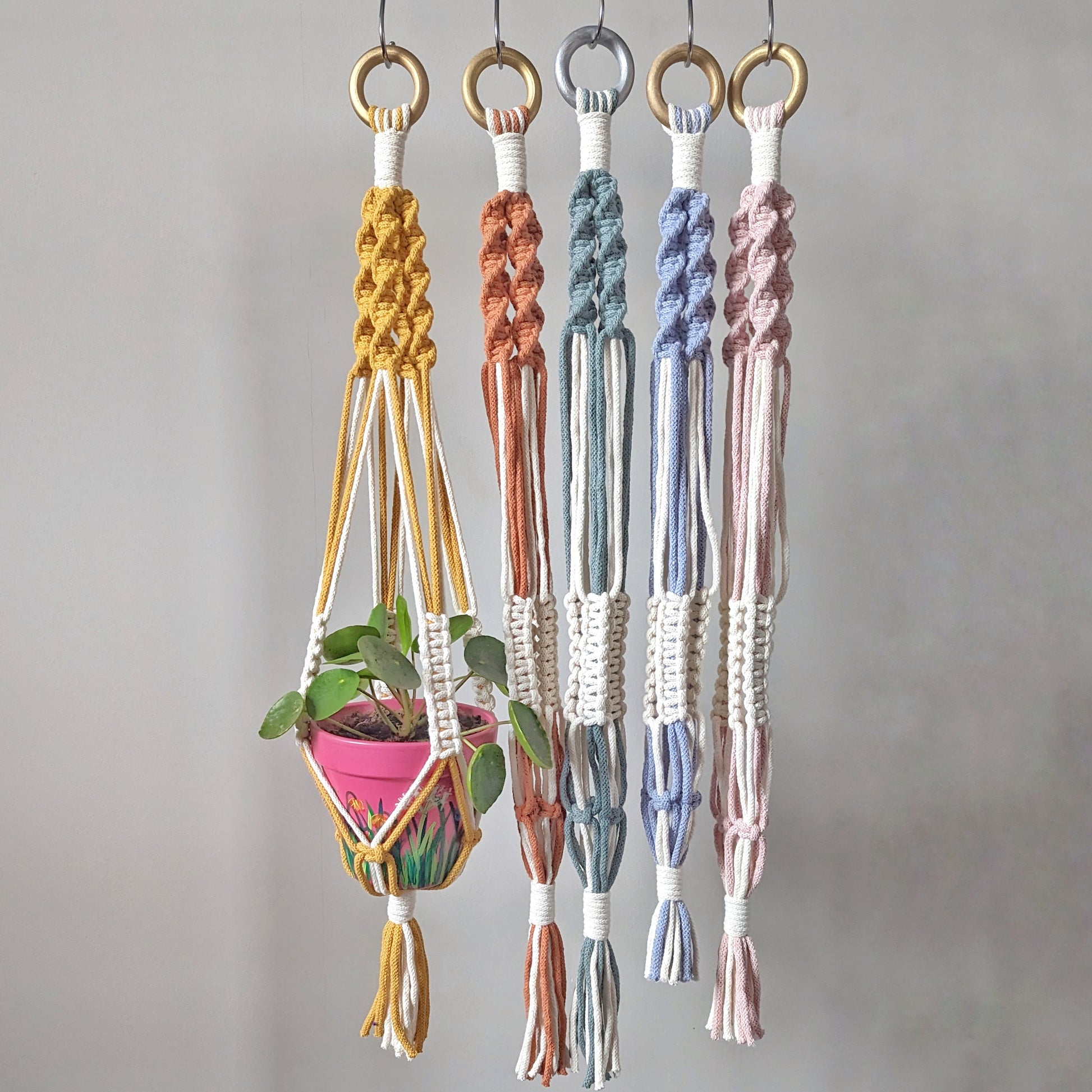 colored macrame plant hanger Macramé Plant Hanger
