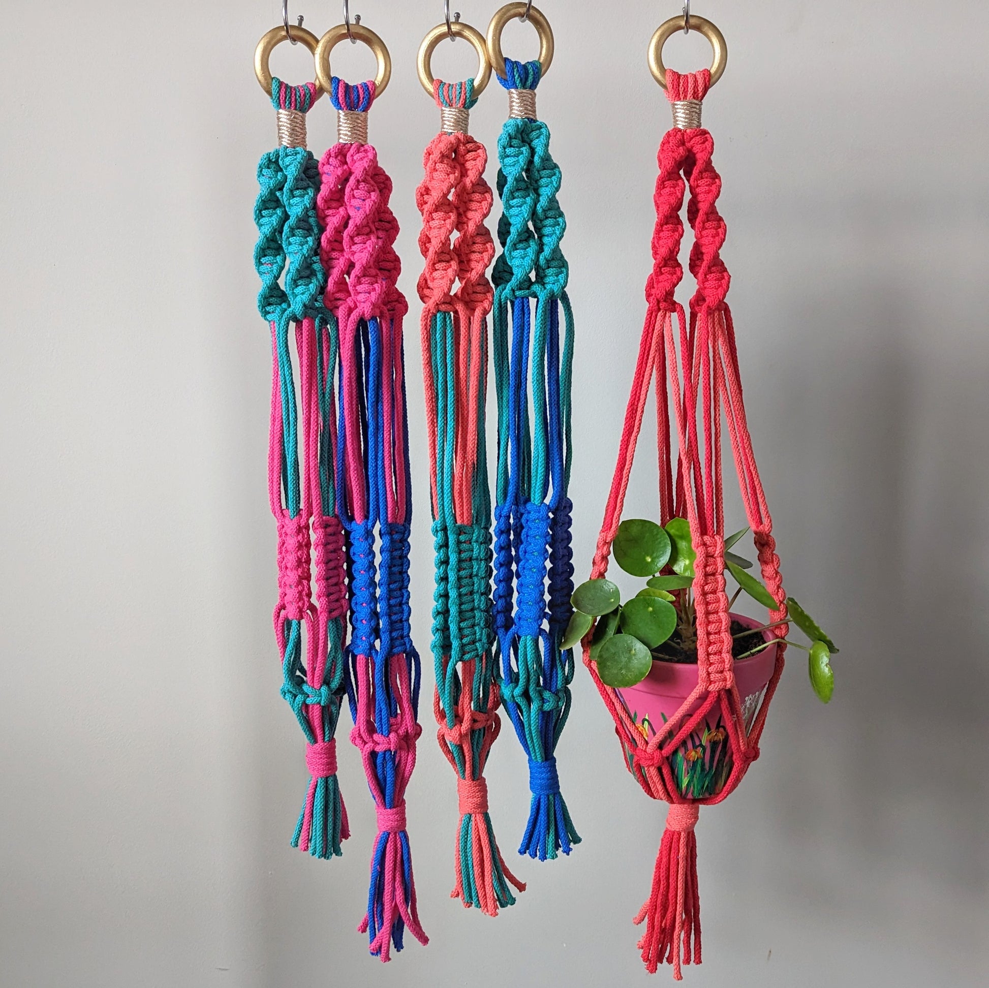 12 strand macrame plant hanger Macramé Plant Hanger